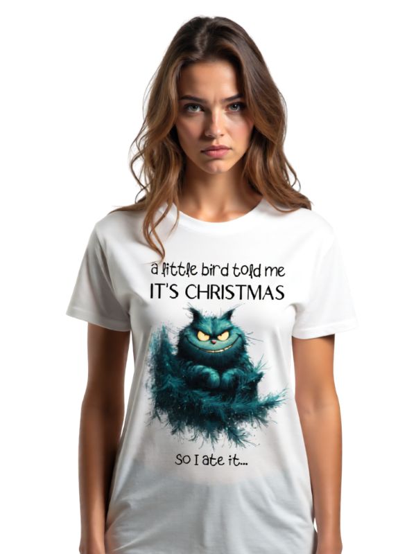 Koszulka - a little bird told me IT'S CHRISTMAS...